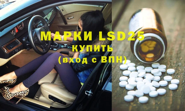 эйфоретик Баксан