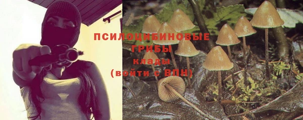 эйфоретик Баксан