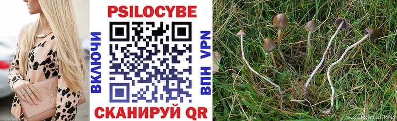 Псилоцибиновые грибы Psilocybe  Усть-Кут 